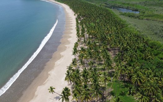 Limoncito Lot, San Blas, Nayarit